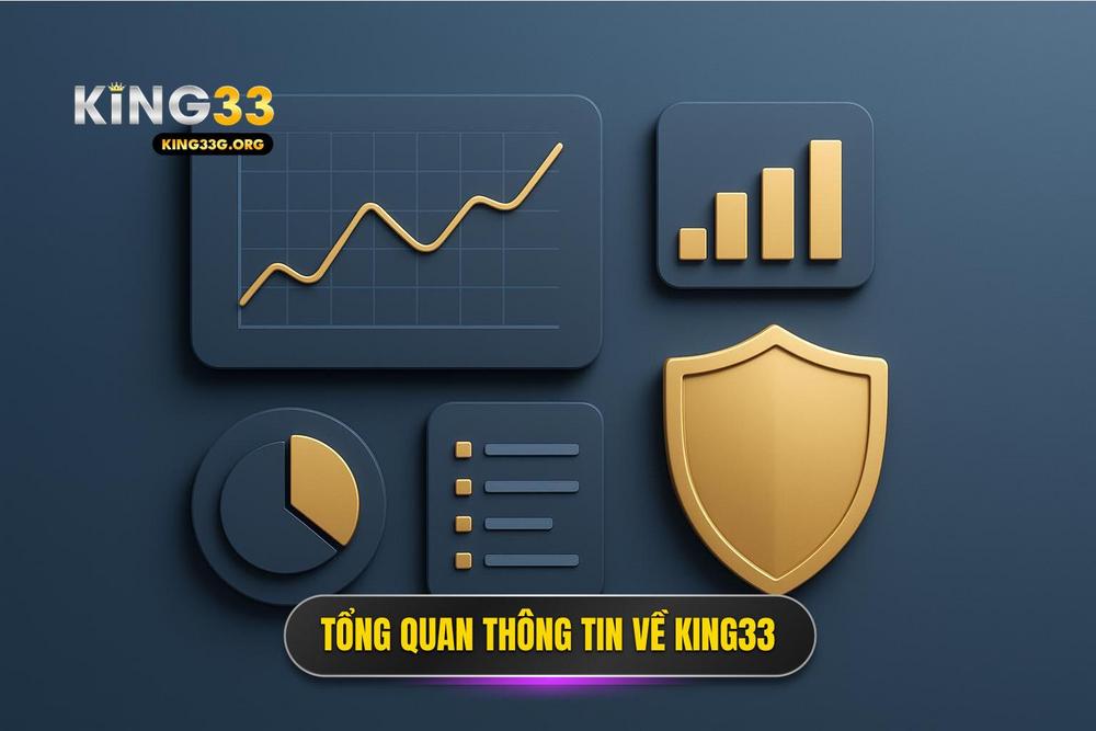 3.bảng Tóm Tắt Thông Tin Tổng Quan Về King33