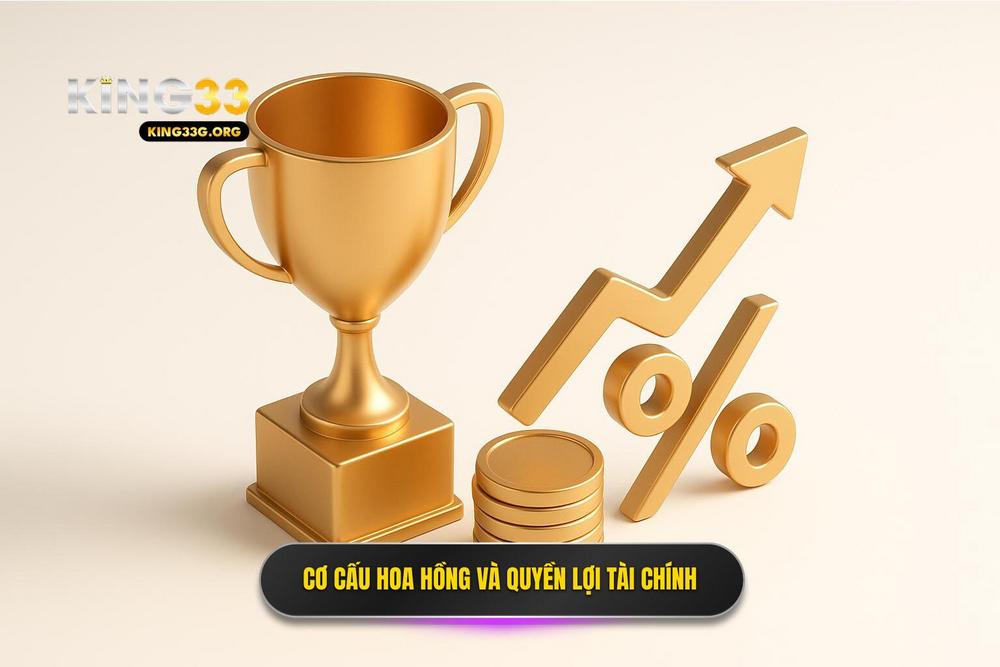 3.cơ Cấu Hoa Hồng Và Quyền Lợi Tài Chính